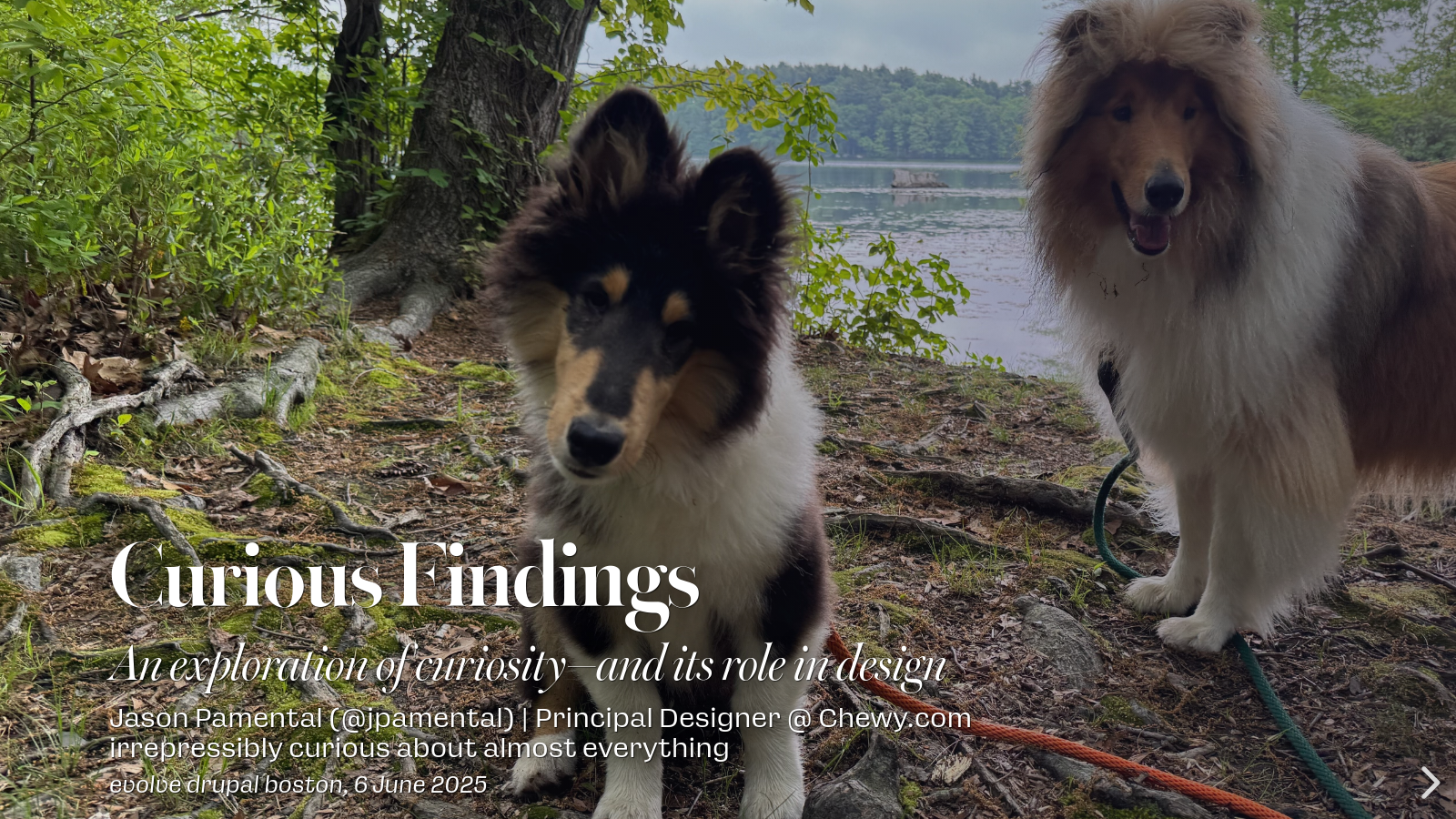 Curious Findings: An exploration of curiosity—and its role in design