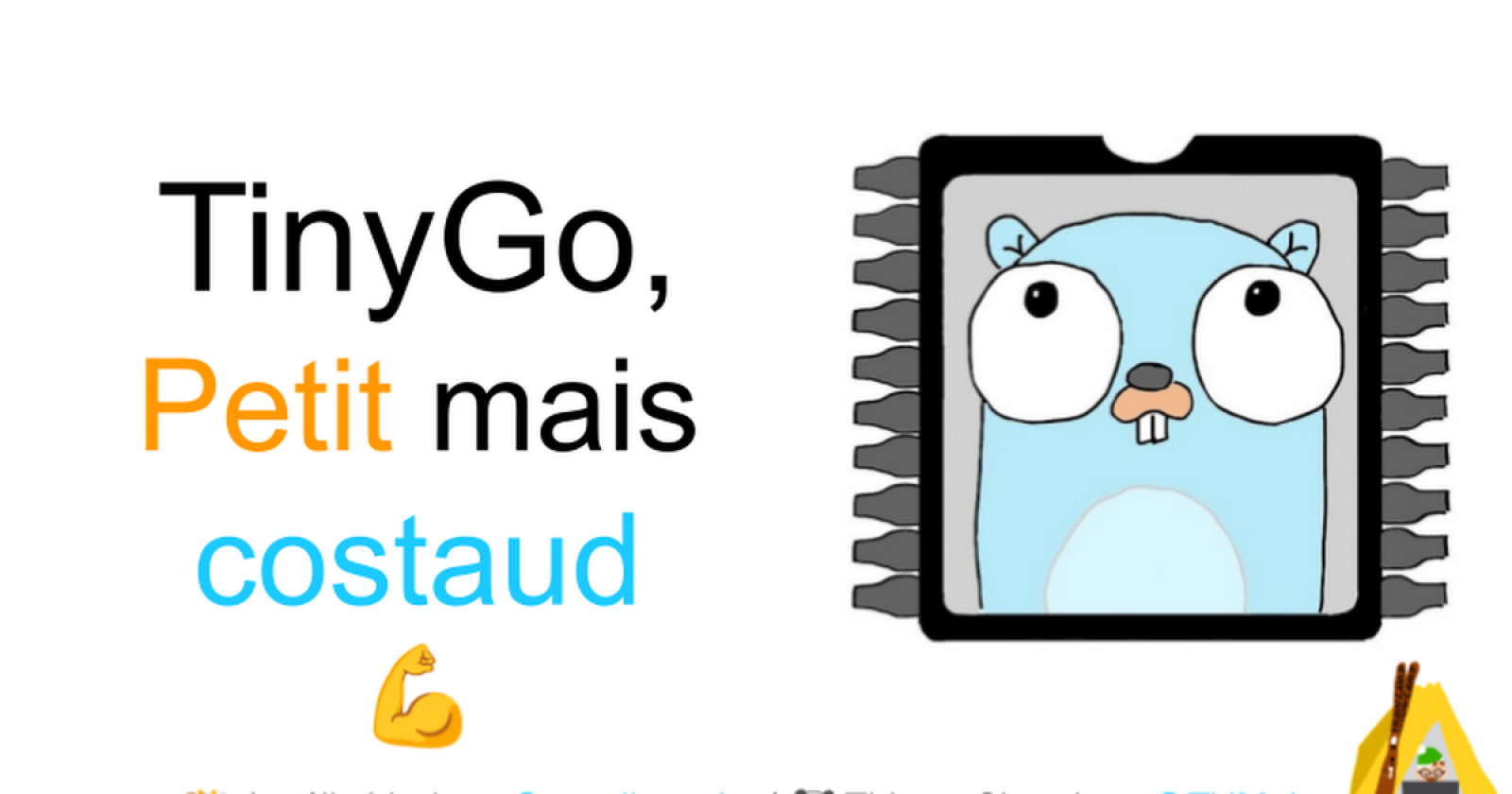 TinyGo, petit mais costaud ! 💪 by Aurélie Vache