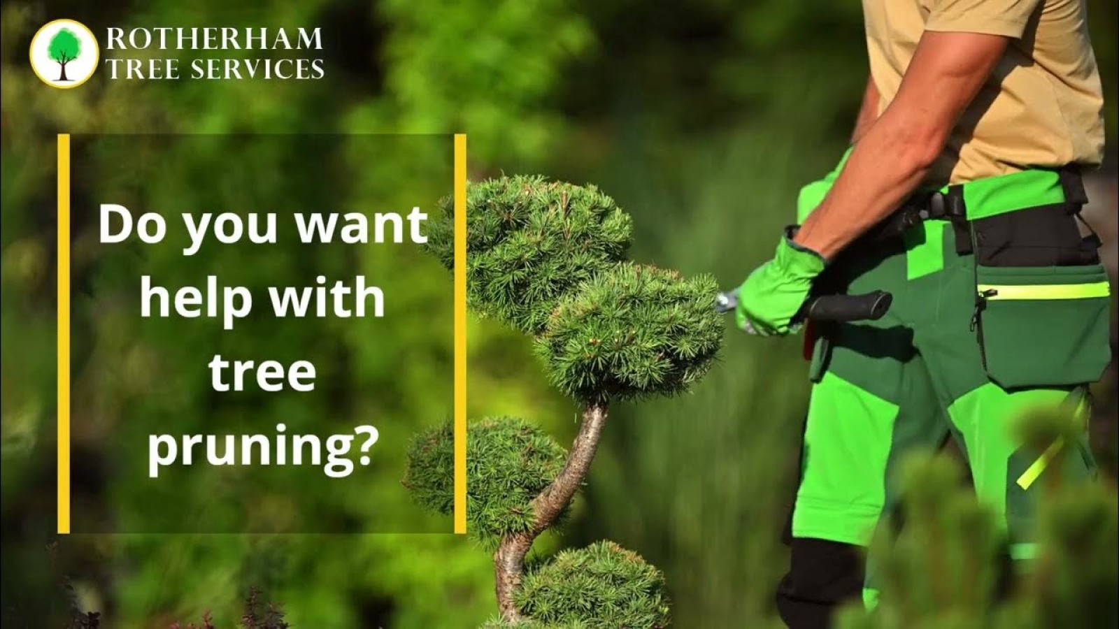 Rotherham Tree Services
